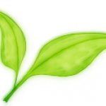 魚菜共生遠程監控系統