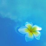 默認設備